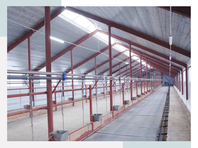 Строительство коровников в Чебоксарах от 617 руб.