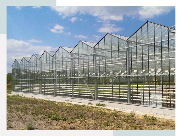 Строительство теплиц в Чебоксары от 617 руб. за м²